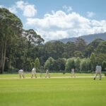 cricket-match-with-player (4)